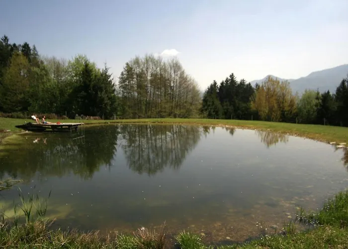 Apartament In In Der Naehe Des Skigebiets Petzen